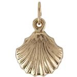 Gold Filled Double Sided Sea Shell Charm