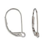 Base Metal Silver Plated Lever Back with Interchangeable Loop